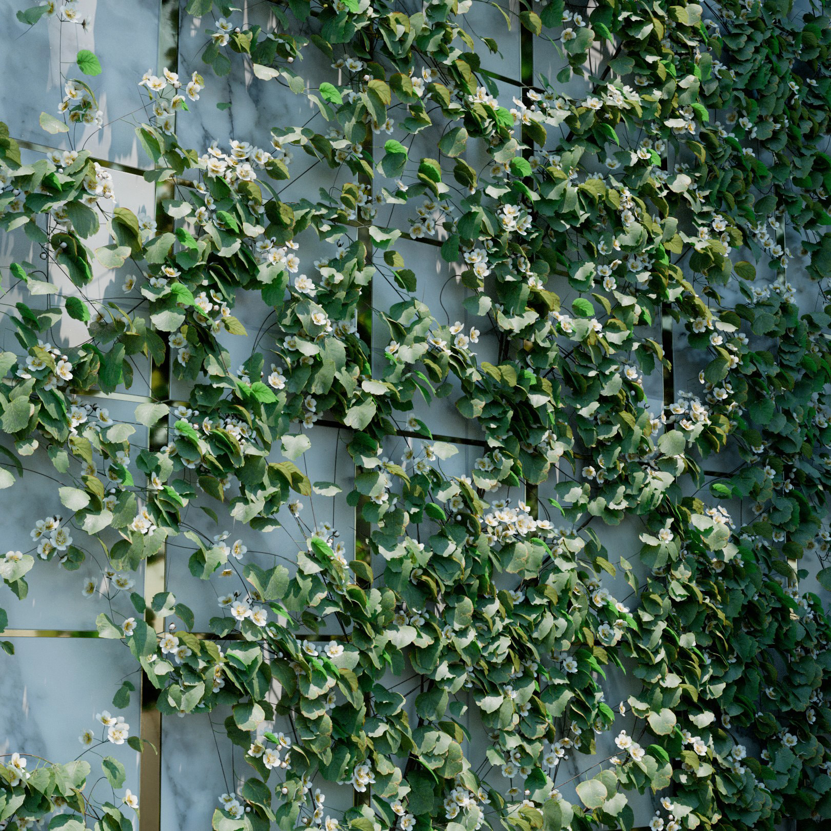 Actinidia Deliciosa Ivy Preset